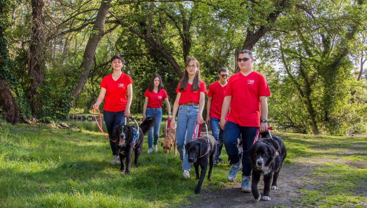 La fondation Frédéric Gaillanne offre des chiens-guides aux enfants