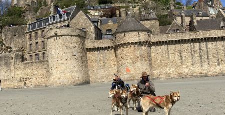 cani trottinette chiens de traineau Alexis