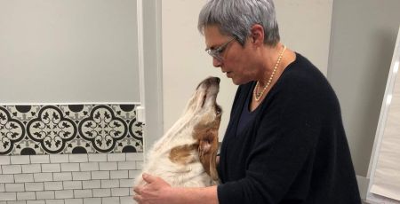 Chien Zen massage canin