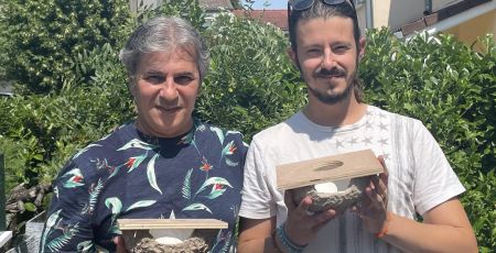 Lyon : Ils installent des nids pour faire revenir les hirondelles