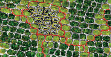 Image_expo_Architectures_Bionumeriques.png