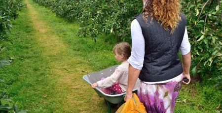 Circuit-court : passez par les cueillettes pour vos fruits et légumes !