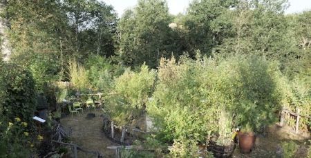 Il était une fois un jardin conté