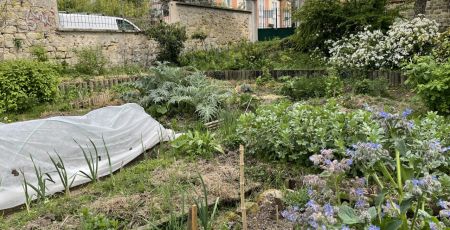 Un jardin partagé à Nanterre