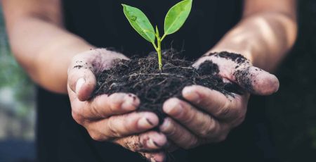 Livre : « Les Verdoyants » de Simon sont les visages de l’écologie