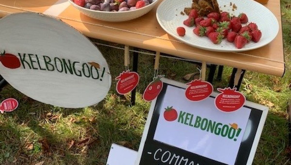 KELBONGOO_1.jpg