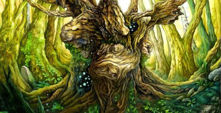 Livre : Découvrir le pouvoir des forêts avec « Forêts merveilleuses »