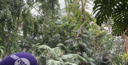Les Grandes serres à Paris sont utiles à la Science
