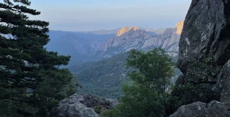 Les cocoons donnent une vue imprenable sur la foret corse