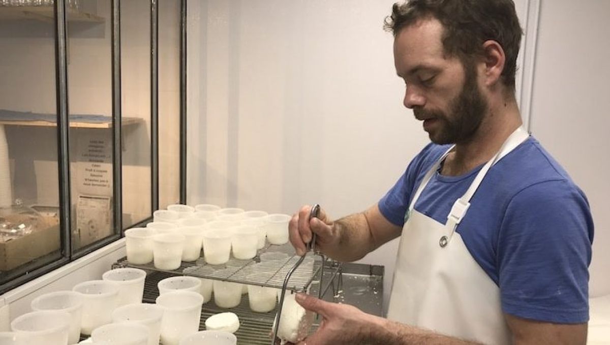 fromager pierre coulon