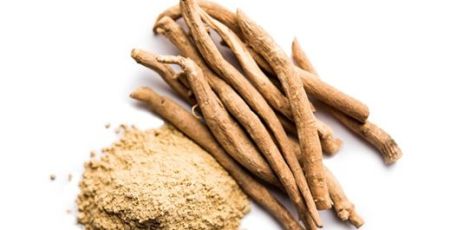 L'ashwagandha une plante indienne utilisée en phytothérapie depuis des millénaires en Inde