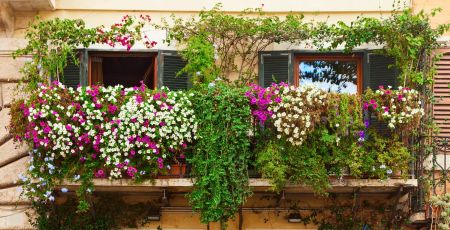 Lyon : prendre soin de ses plantes en pot avec les Empotés