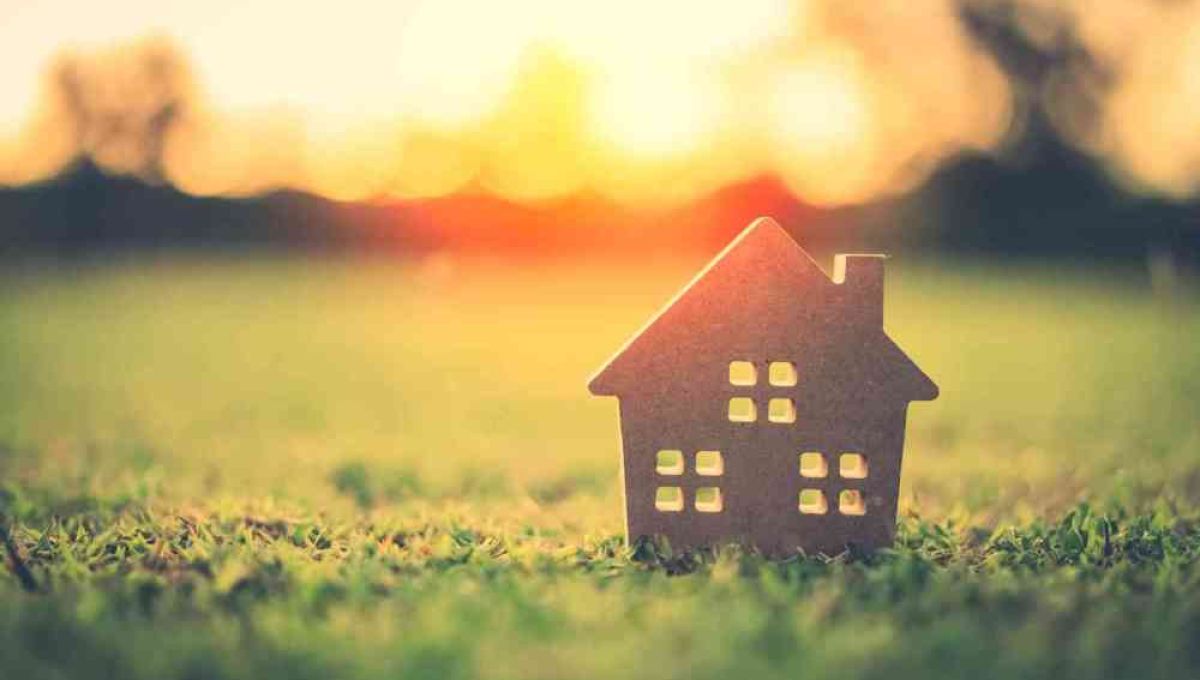 Façade d'une petite maison en carton posée sur l'herbe