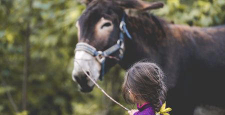 Micro aventures en familles
