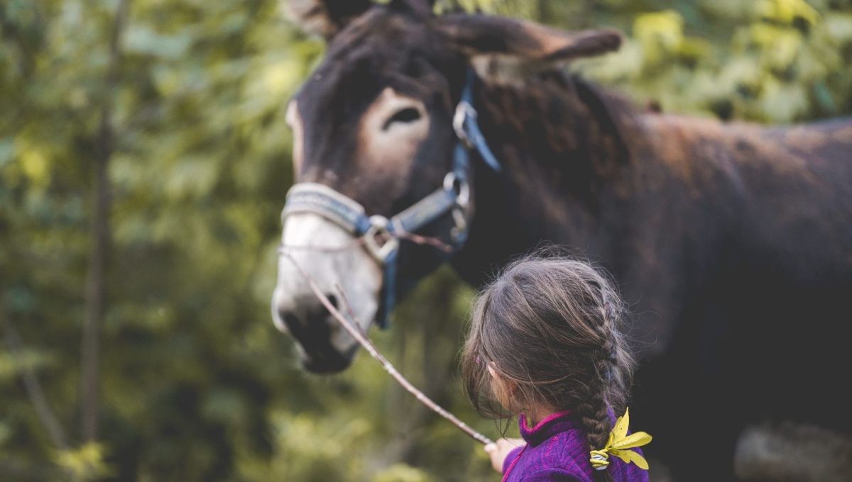 Micro aventures en familles