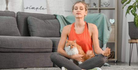 Méditation animale