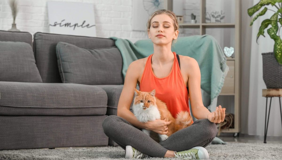 Méditation animale