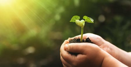 Touk Touk : l’univers ludo-éducatif qui mêle environnement et diversité