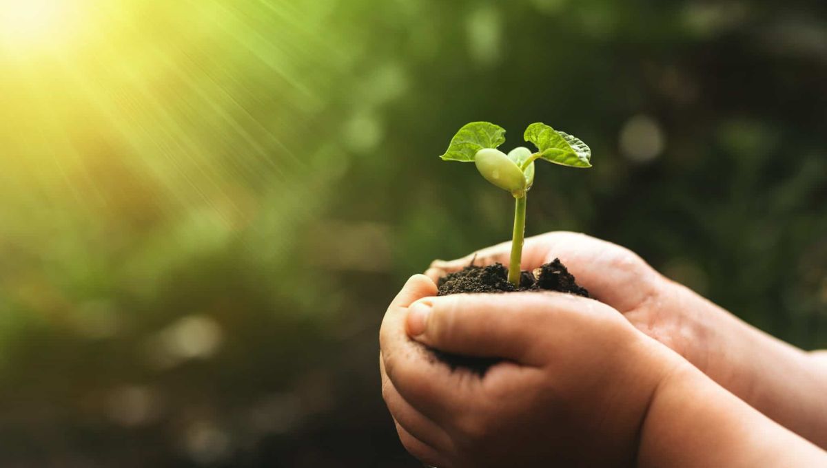 Touk Touk : l’univers ludo-éducatif qui mêle environnement et diversité