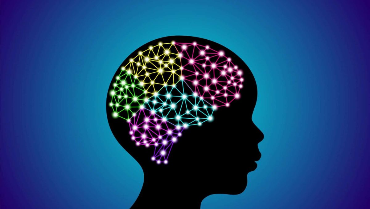 NEUROEDUCATION_PHOTO.jpeg