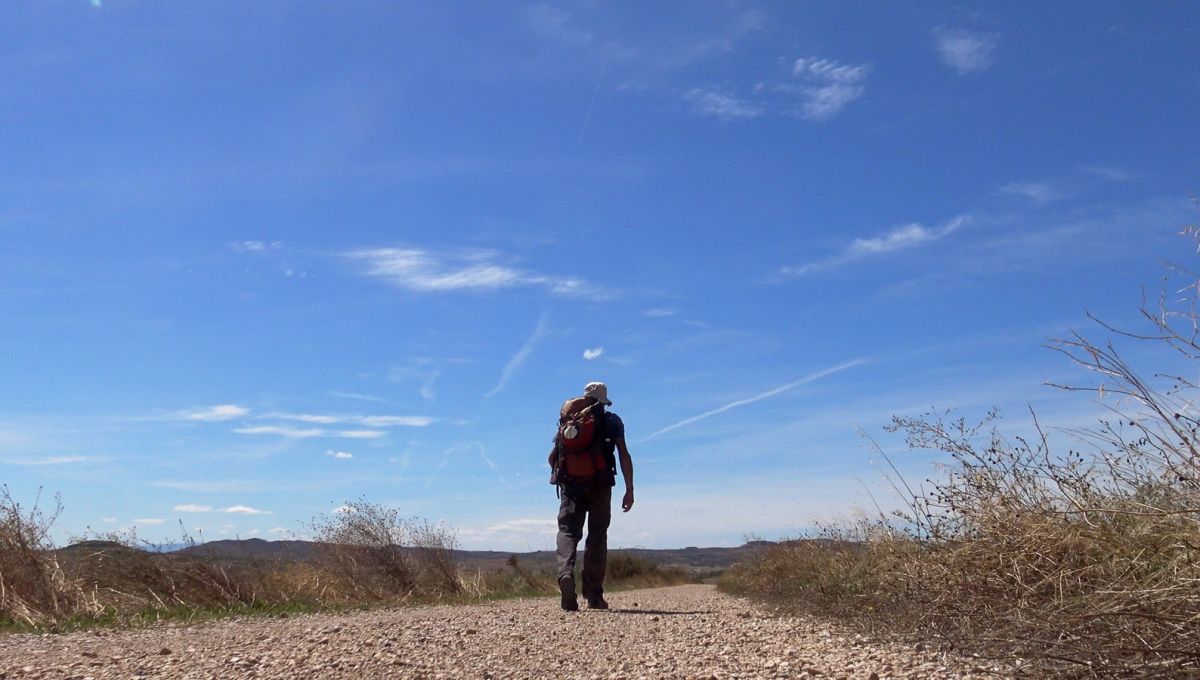 Laurent Granier / Retrouver le Chemin