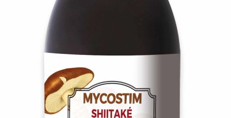 PHOTO_MYCOTHERAPIE.jpg