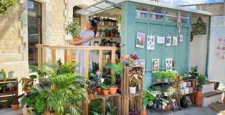 Laura Bruneau / Plant and Stories