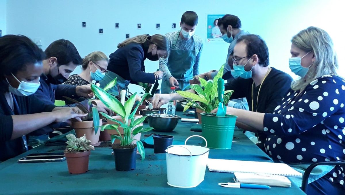 PLANTOLOGIE_URBAINE_PHOTO.jpg