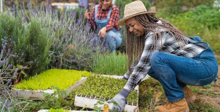 Potager femmes