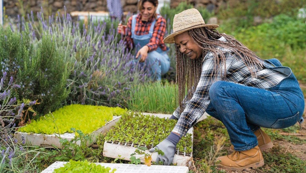 Potager femmes