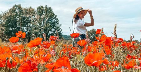 Luberon Guide du touriste éco-responsable