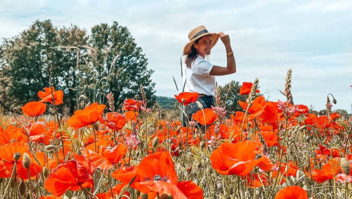 Luberon Guide du touriste éco-responsable