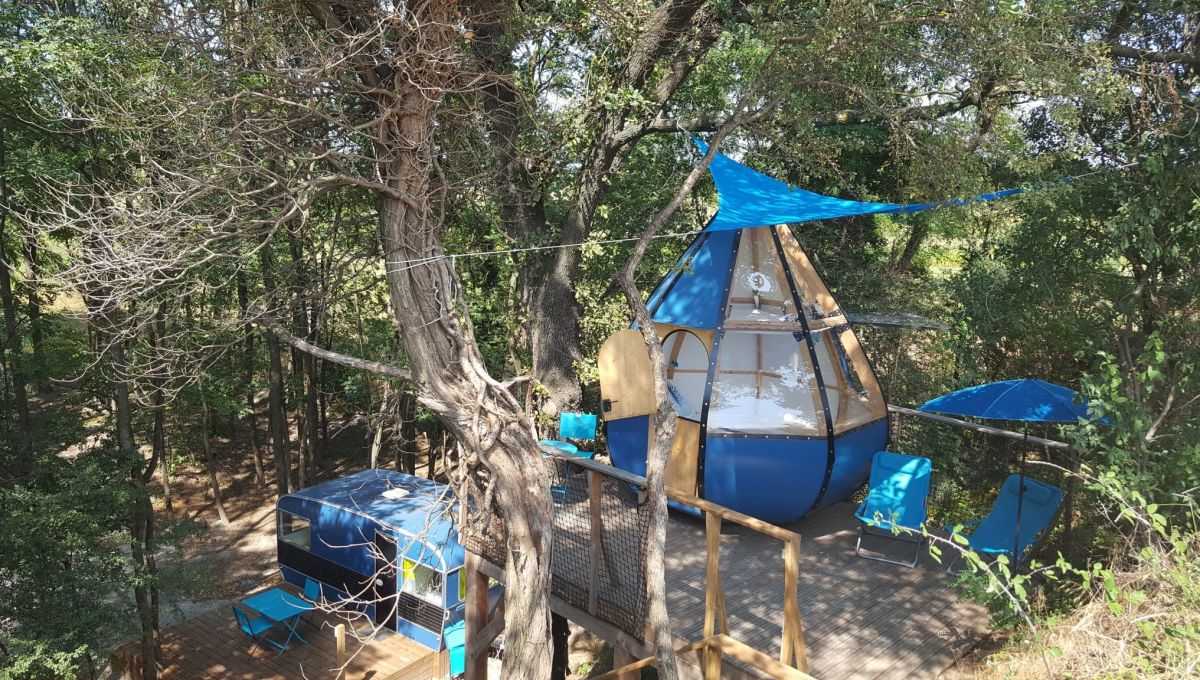 Drôme : Se reconnecter à la nature et à soi avec Des Branches et Vous