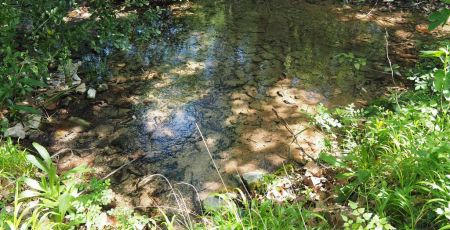 plaine de Crau
