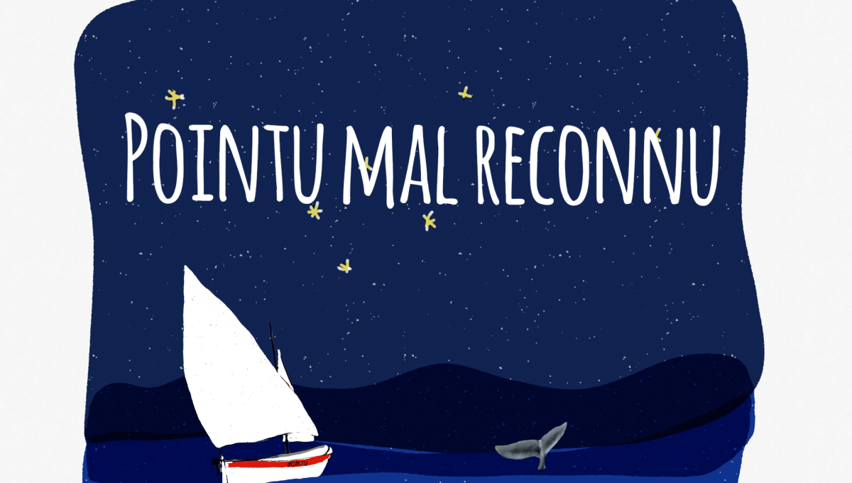 Pointu_mal_reconnu_lettrage.png
