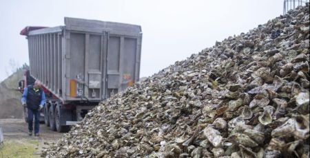 Combler les anciennes carrières avec des coquilles d'huitres