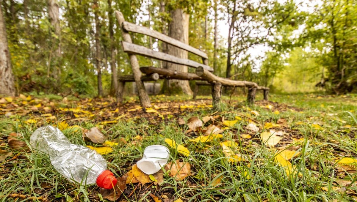 Trashback : l’application qui vous incite à ramasser les déchets
