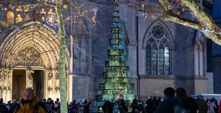 SAPIN_BORDEAUX_PHOTO_1.jpg