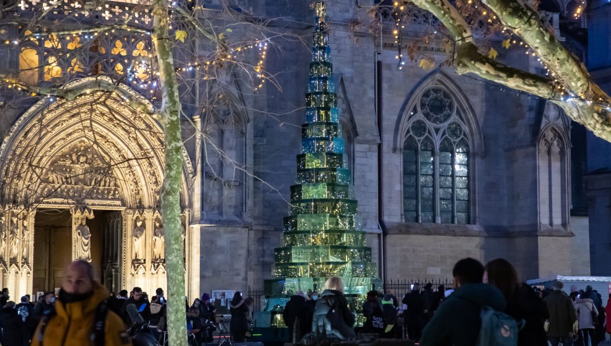 SAPIN_BORDEAUX_PHOTO_1.jpg