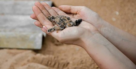 Vous cherchez un voyage solidaire ou du volontariat à l’étranger ?