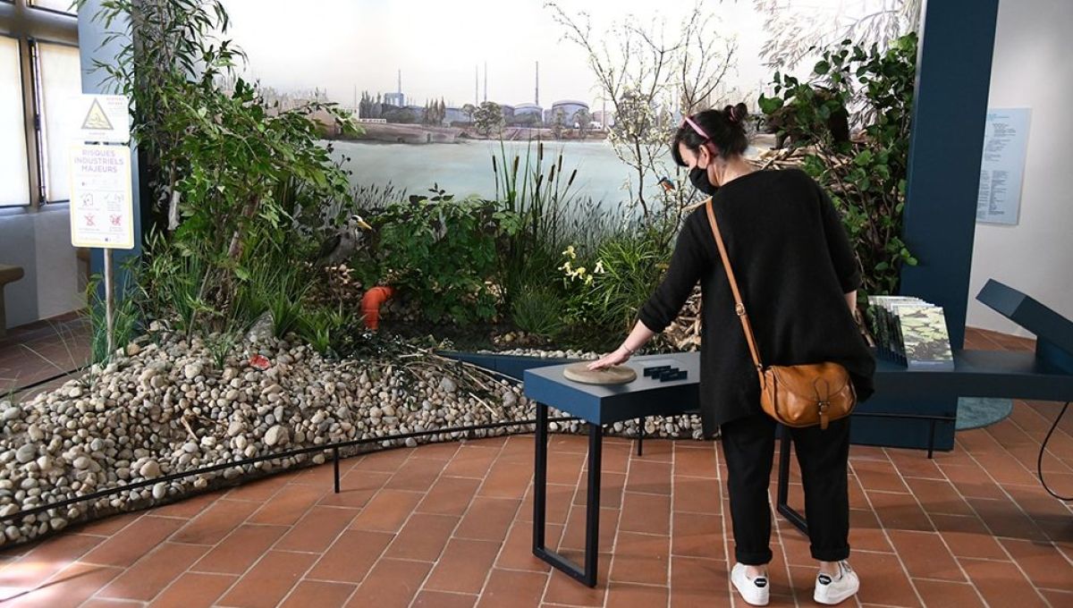 Expo : Redécouvrir les rivières lyonnaises avec « Les Pieds dans l’eau »