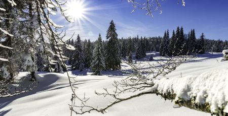 paysage enneigé