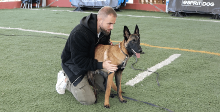 Les colliers de dressage interdits esprit dog