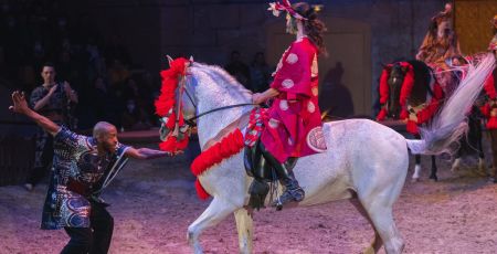 Spectacle TOTEM au château de Chantilly