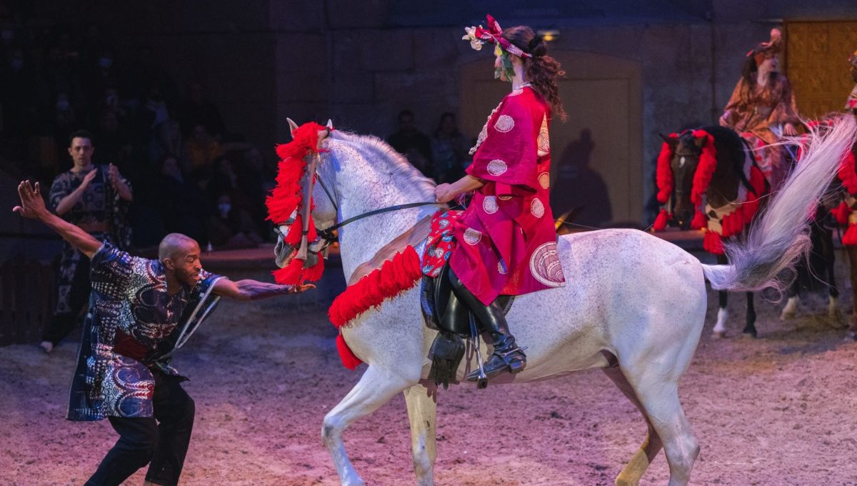Spectacle TOTEM au château de Chantilly