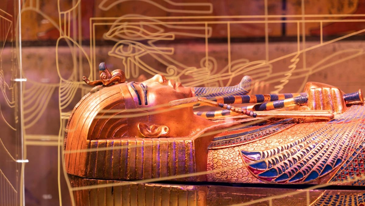 Lyon : Comprendre le paradoxe autour du pharaon Toutankhamon