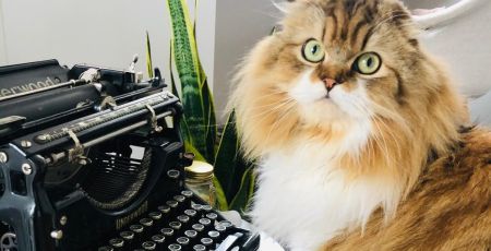 TRAVAIL_ANIMAUX.jpeg