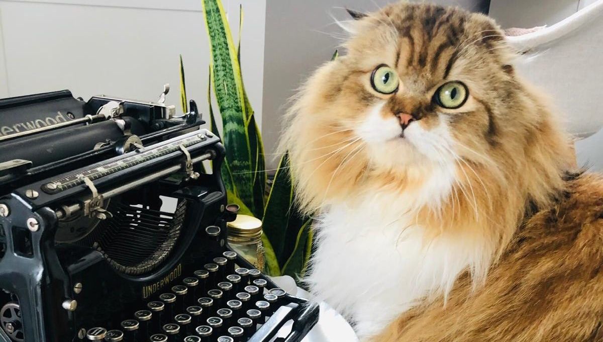TRAVAIL_ANIMAUX.jpeg