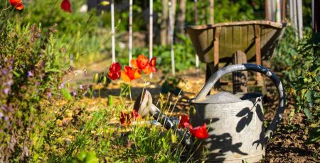 Retour sur le concours national des jardins potagers 2024