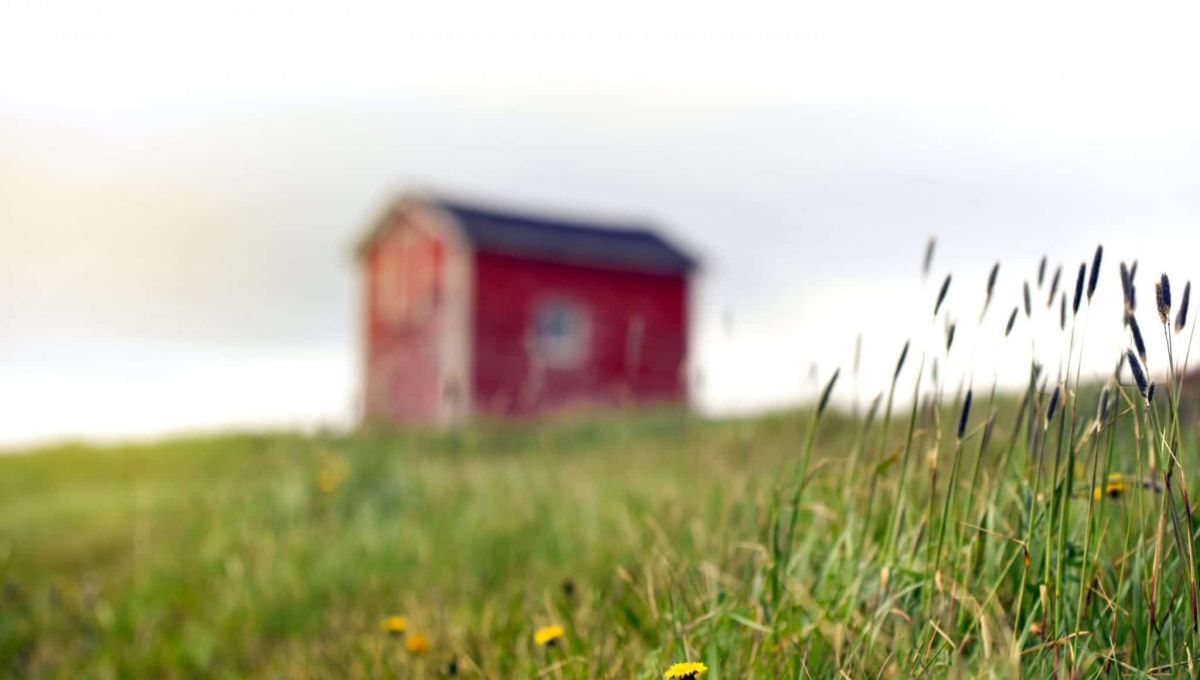 Tinyhouse.jpeg